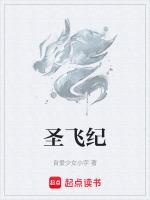 圣飞纪
