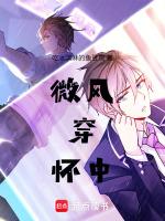 微风穿怀中
